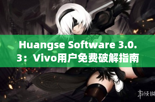 Huangse Software 3.0.3：Vivo用户免费破解指南