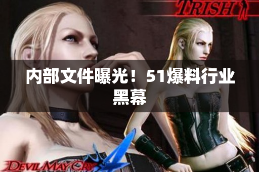 内部文件曝光！51爆料行业黑幕