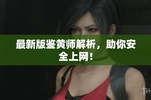 最新版鉴黄师解析，助你安全上网！