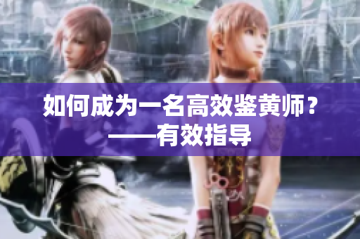 如何成为一名高效鉴黄师？——有效指导