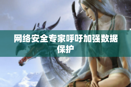 网络安全专家呼吁加强数据保护