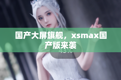 国产大屏旗舰，xsmax国产版来袭