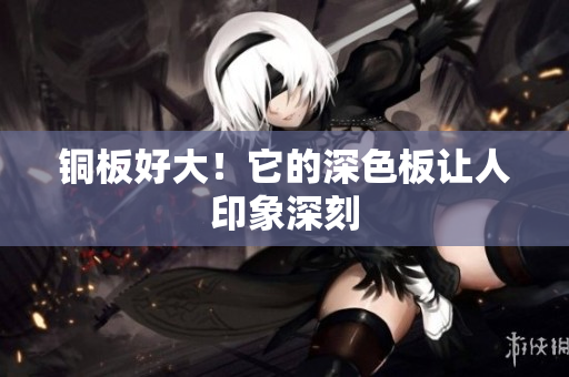 铜板好大！它的深色板让人印象深刻