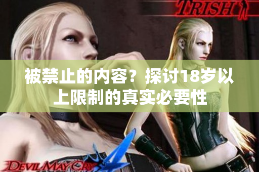 被禁止的内容？探讨18岁以上限制的真实必要性