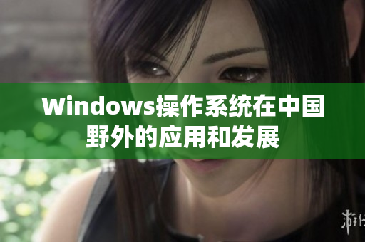 Windows操作系统在中国野外的应用和发展