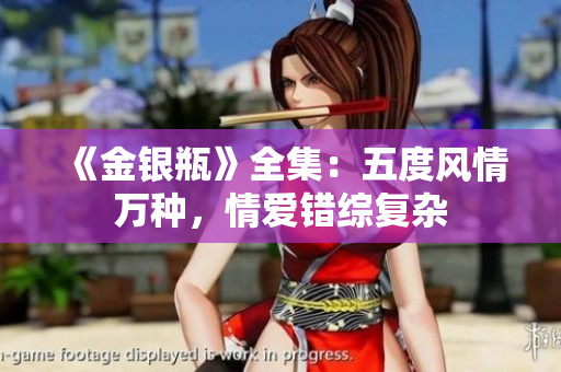 《金银瓶》全集：五度风情万种，情爱错综复杂