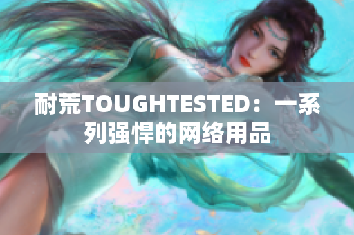 耐荒TOUGHTESTED：一系列强悍的网络用品