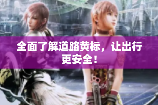 全面了解道路黄标，让出行更安全！