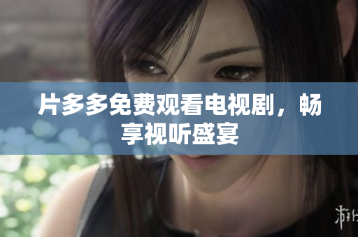 片多多免费观看电视剧，畅享视听盛宴