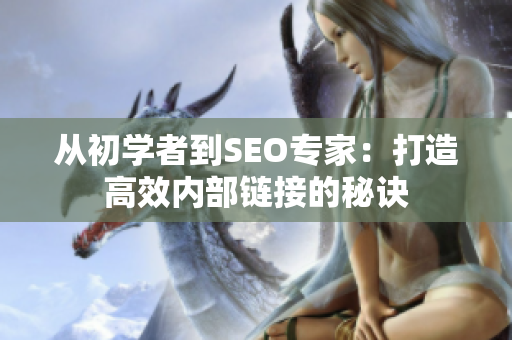从初学者到SEO专家：打造高效内部链接的秘诀