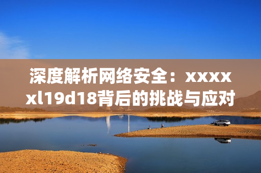深度解析网络安全：xxxxxl19d18背后的挑战与应对)