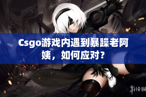Csgo游戏内遇到暴躁老阿姨，如何应对？