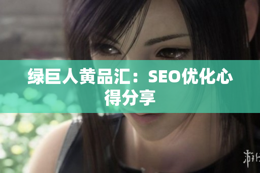 绿巨人黄品汇：SEO优化心得分享