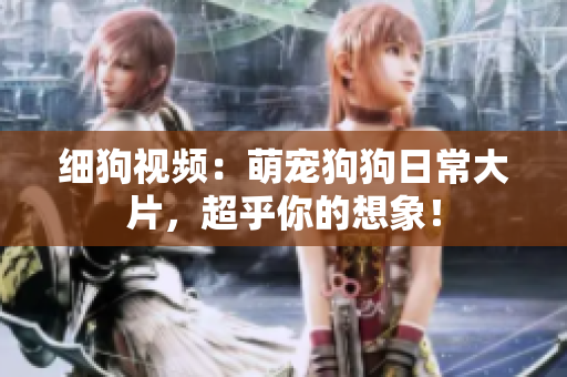 细狗视频：萌宠狗狗日常大片，超乎你的想象！