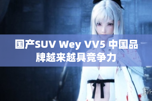 国产SUV Wey VV5 中国品牌越来越具竞争力