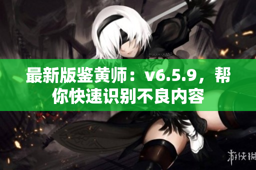 最新版鉴黄师：v6.5.9，帮你快速识别不良内容
