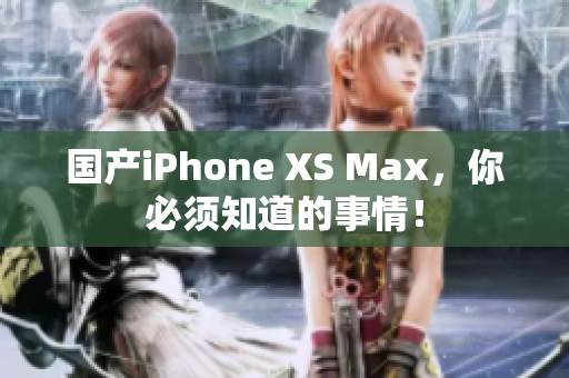 国产iPhone XS Max，你必须知道的事情！