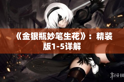 《金银瓶妙笔生花》：精装版1-5详解