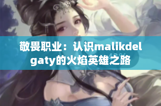 敬畏职业：认识malikdelgaty的火焰英雄之路