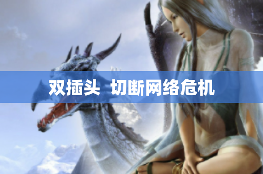 双插头  切断网络危机