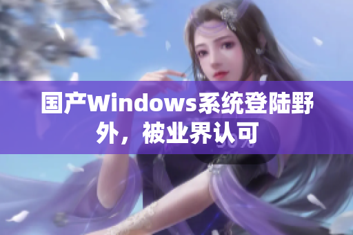 国产Windows系统登陆野外，被业界认可