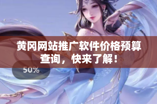 黄冈网站推广软件价格预算查询，快来了解！