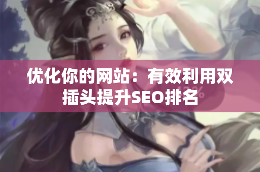 优化你的网站：有效利用双插头提升SEO排名