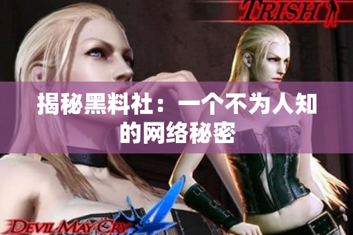 揭秘黑料社：一个不为人知的网络秘密