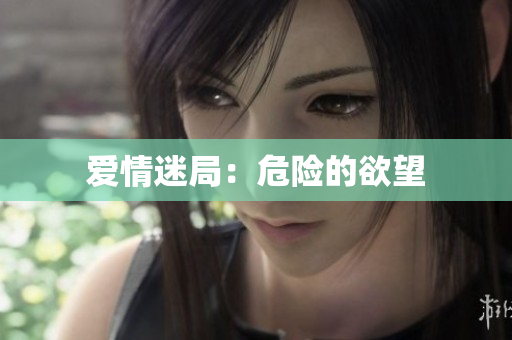 爱情迷局：危险的欲望