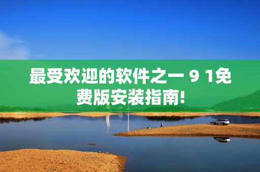 最受欢迎的软件之一 9 1免费版安装指南!