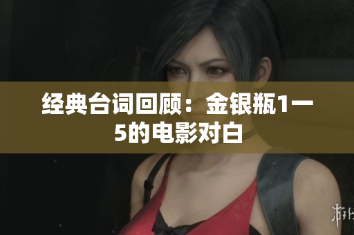 经典台词回顾：金银瓶1一5的电影对白