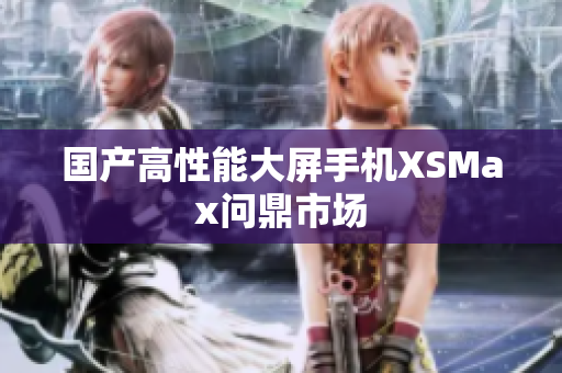 国产高性能大屏手机XSMax问鼎市场