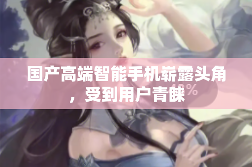 国产高端智能手机崭露头角，受到用户青睐