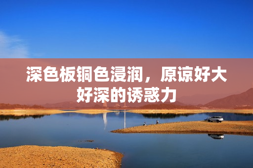 深色板铜色浸润，原谅好大好深的诱惑力