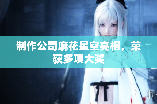 制作公司麻花星空亮相，荣获多项大奖