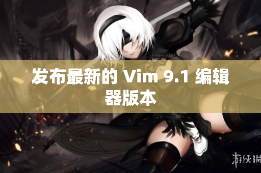 发布最新的 Vim 9.1 编辑器版本