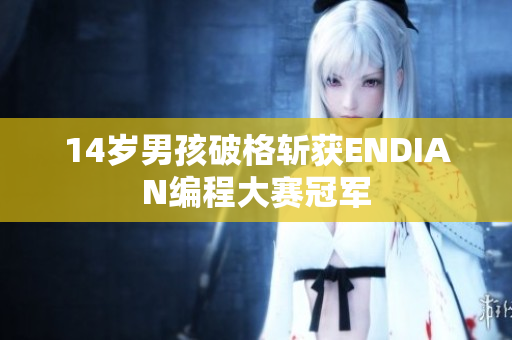 14岁男孩破格斩获ENDIAN编程大赛冠军
