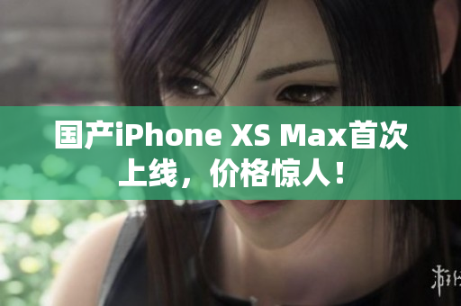 国产iPhone XS Max首次上线，价格惊人！