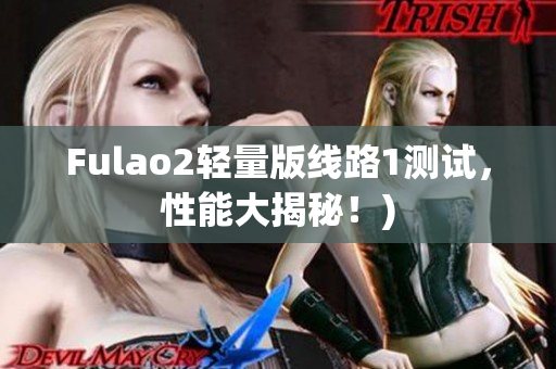 Fulao2轻量版线路1测试，性能大揭秘！)