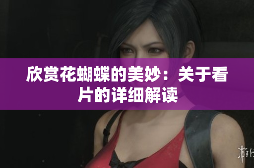 欣赏花蝴蝶的美妙：关于看片的详细解读