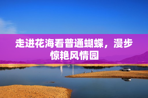 走进花海看普通蝴蝶，漫步惊艳风情园