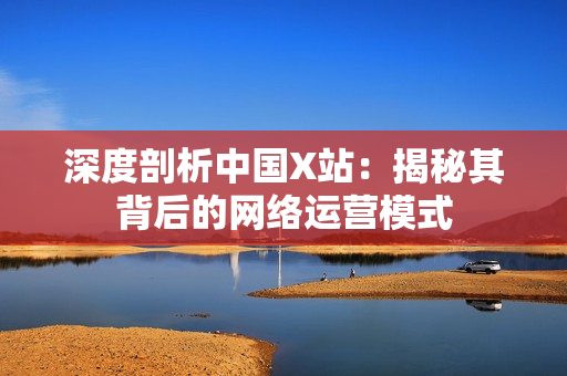 深度剖析中国X站：揭秘其背后的网络运营模式