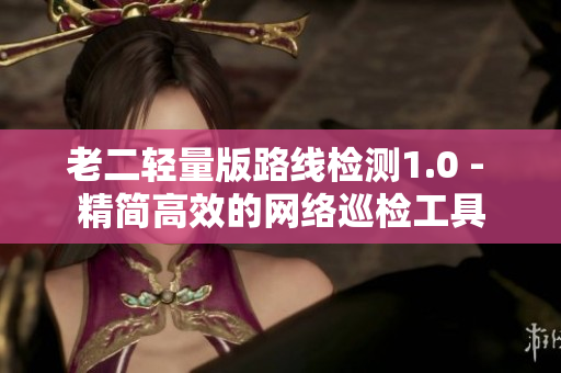 老二轻量版路线检测1.0 - 精简高效的网络巡检工具