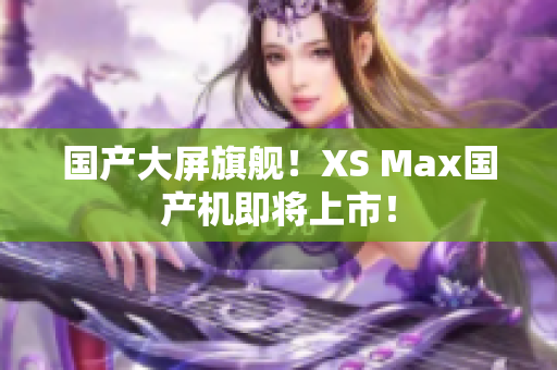 国产大屏旗舰！XS Max国产机即将上市！