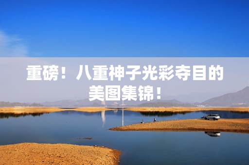 重磅！八重神子光彩夺目的美图集锦！