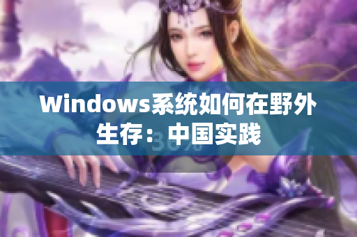 Windows系统如何在野外生存：中国实践