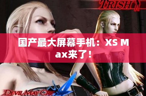 国产最大屏幕手机：XS Max来了！