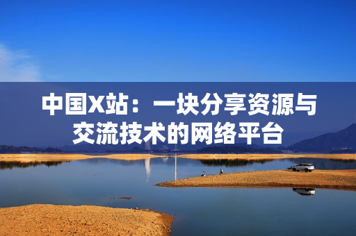 中国X站：一块分享资源与交流技术的网络平台