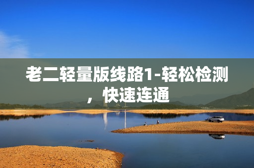 老二轻量版线路1-轻松检测，快速连通