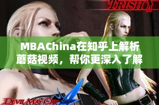 MBAChina在知乎上解析蘑菇视频，帮你更深入了解网络视频平台